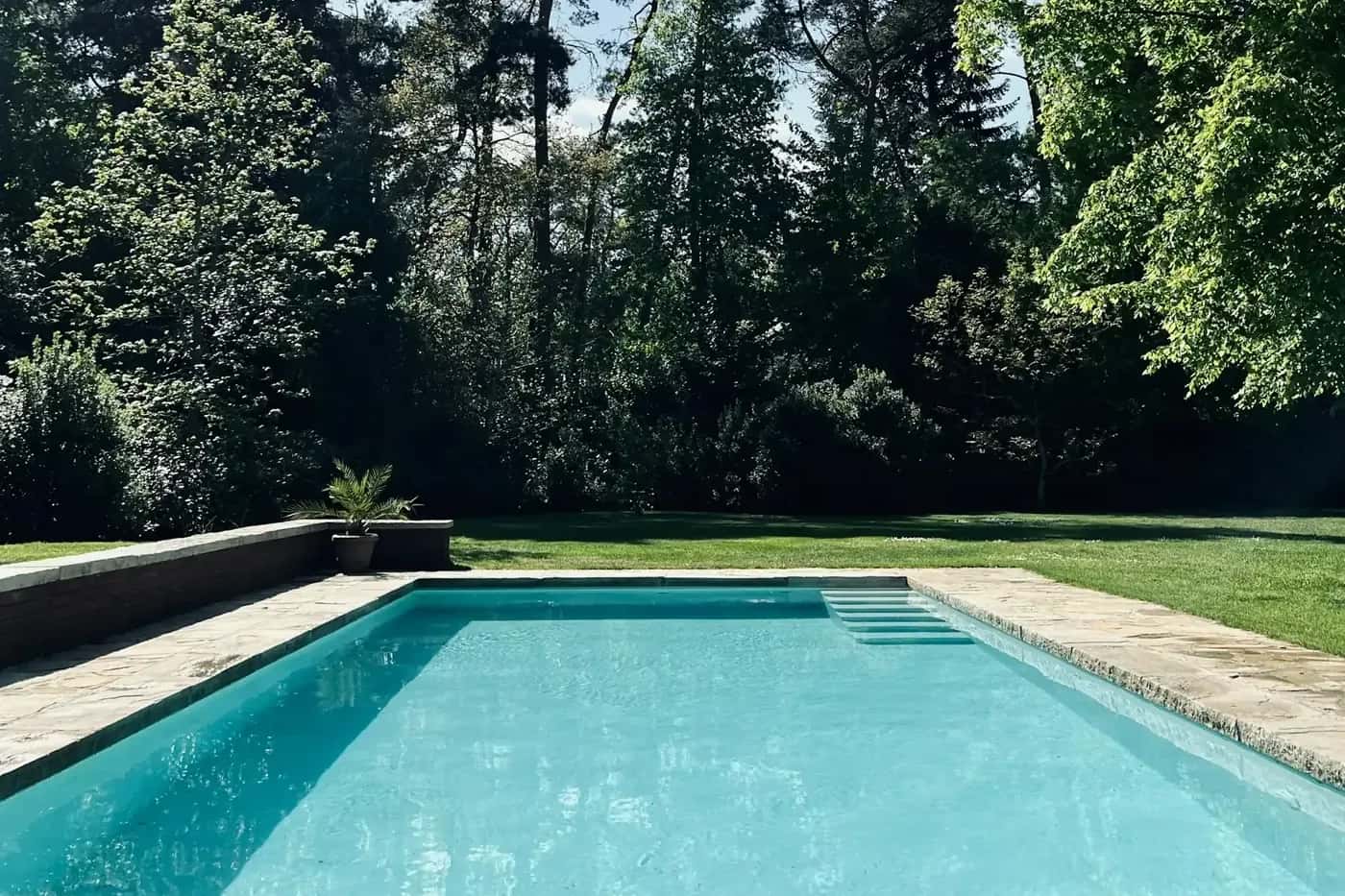 Piscina rodeada de pinos en otoño