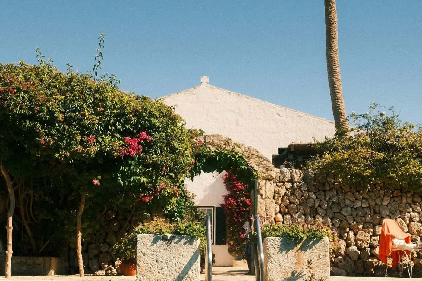 Piscina con una palmera al fondo