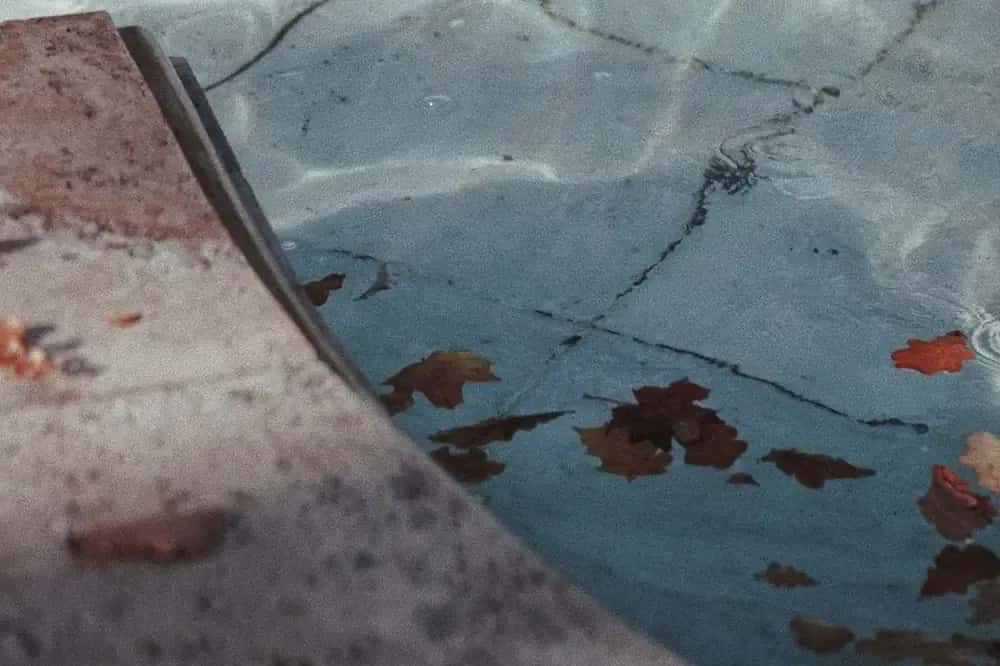 Hojas en el fondo de una piscina
